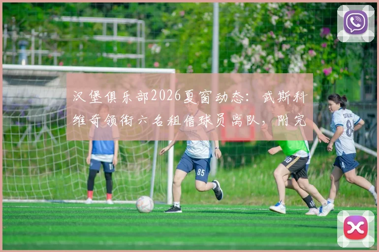 汉堡俱乐部2026夏窗动态：武斯科维奇领衔六名租借球员离队，附完整球员名单及母队信息解析