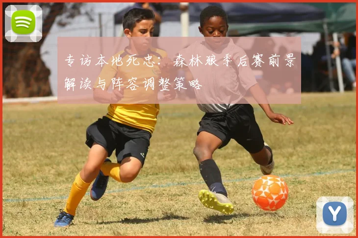 专访本地死忠：森林狼季后赛前景解读与阵容调整策略