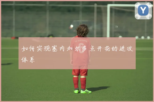 如何实现塞内加尔多点开花的进攻体系