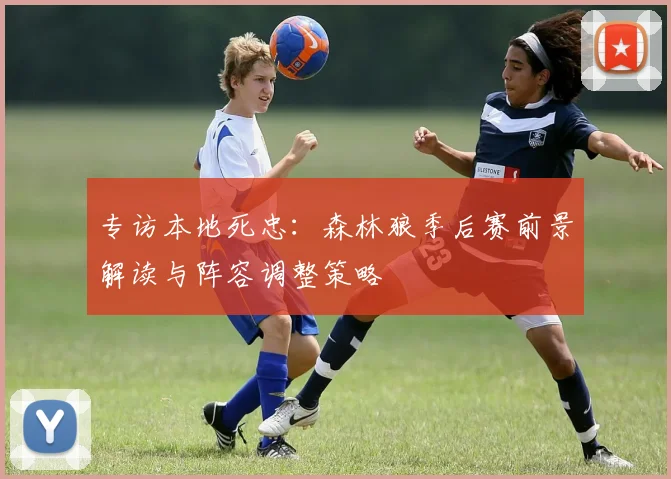 专访本地死忠:森林狼季后赛前景解读与阵容调整策略